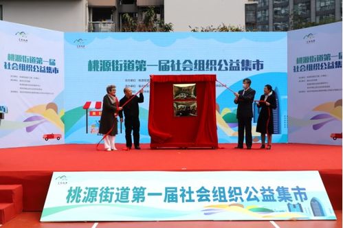熱鬧了 桃源街道第一屆社會(huì)組織公益集市開(kāi)幕